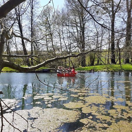 Вілла Le Moulin Des Aulnes Hamois Екстер'єр фото